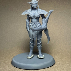 Picture of print of Elf Female Sentinel FREE