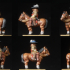 6-15mm 17th Century Pike & Shotte Cavalry/Harquebusiers (TYW/ECW) & Blender File P&S-3 image
