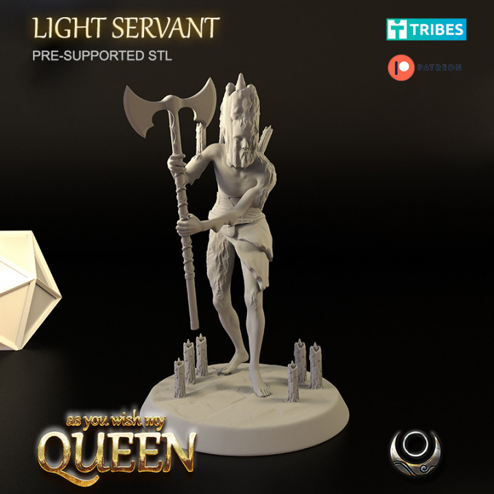 Light Servant's Cover