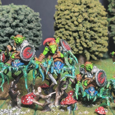 Picture of print of Faldorn Giant Spider Riders (Faldorn Goblins)