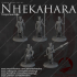 Dark Realms - Nhekahara - Temple Guardians image
