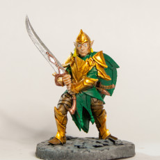 Picture of print of RPG - DnD Hero Characters - Titans of Adventure Set 34