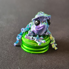 Picture of print of Mushroom Frog