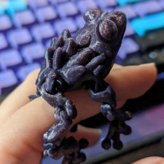Picture of print of Gemstone Frog