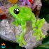 Gemstone Frog image