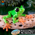 Cinder Frog image