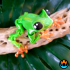 Cinder Frog image