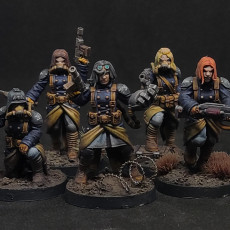 Picture of print of GrimGuard Sisters of War