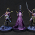 The Court of Balazar: Miniatures Collection print image