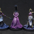 The Court of Balazar: Miniatures Collection print image