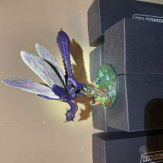 Picture of print of Dragonfly | PRESUPPORTED | The Fae Petal Courts