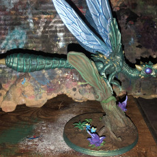 Picture of print of Dragonfly | PRESUPPORTED | The Fae Petal Courts