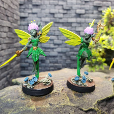 Picture of print of Seelie Guard | Plus Upgrades | PRESUPPORTED | The Fae Petal Courts
