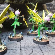 Picture of print of Seelie Guard | Plus Upgrades | PRESUPPORTED | The Fae Petal Courts