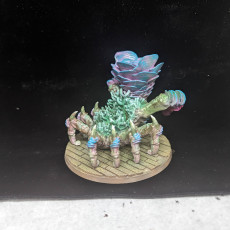 Picture of print of Coral Elemental