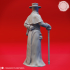 Plague Doctor Cleric - Tabletop Miniature (Pre-Supported) image
