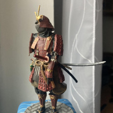Picture of print of Shogun Knight