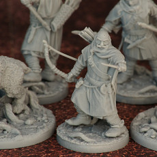 Picture of print of Viking Rangers /EasyToPrint/ /Pre-supported/