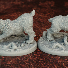 Picture of print of Wild Lynxes /EasyToPrint/ /Pre-supported/