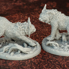 Picture of print of Wild Lynxes /EasyToPrint/ /Pre-supported/