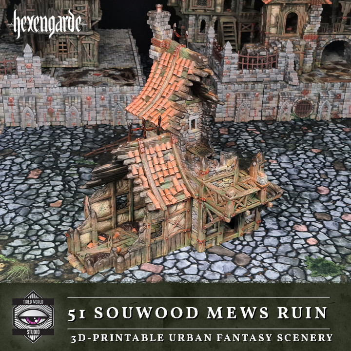 51 Sourwood Mews Ruin's Cover
