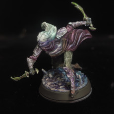 Picture of print of Drow Infiltrator