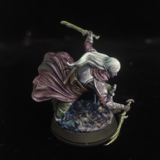 Picture of print of Drow Infiltrator