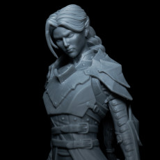 Picture of print of Drow Warrior