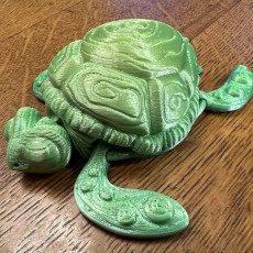 Picture of print of Flexi Turtle Print In Place