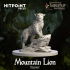 HUMBLEWOOD - Mountain Lion image