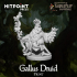 HUMBLEWOOD - Gallus Druid image