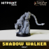 FOOL'S GOLD - Shadow Walker image