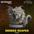 FOOL'S GOLD - Hooded Reaper image