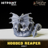 FOOL'S GOLD - Hooded Reaper image