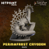 FOOL'S GOLD - Permafrost Cryodon image