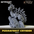 FOOL'S GOLD - Permafrost Cryodon image