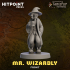 FOOL'S GOLD - Mr. Wizardly image