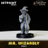 FOOL'S GOLD - Mr. Wizardly image