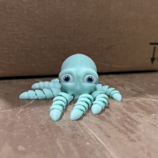 Picture of print of Baby Octopus - Articulated Octopus