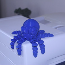 Picture of print of Baby Octopus - Articulated Octopus