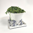 Clawfoot Bathtub Plant Pot - Succulent Planter with Drain Hole and Saucer image