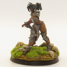 Picture of print of Shyron - Female Orc Axe Master