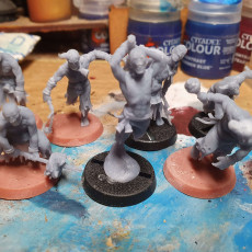 Picture of print of Corrupted Guard Walkers