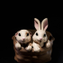 Easter Bunny Baskets - Baby Kitten image