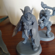 Picture of print of Goblin Assassin - A