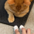 Finger Cat Paw image