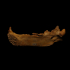 Jaw of a cave bear (7887) image