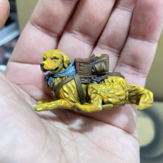 Picture of print of Gold - Golden Retriever (Pre-Supported)