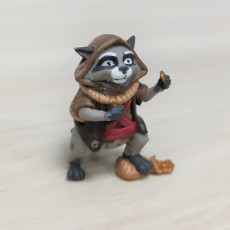 Picture of print of Rakoun - Raccoon (Pre-Supported)