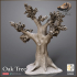 Oak Tree Winter/Summer versions - The Hunt image